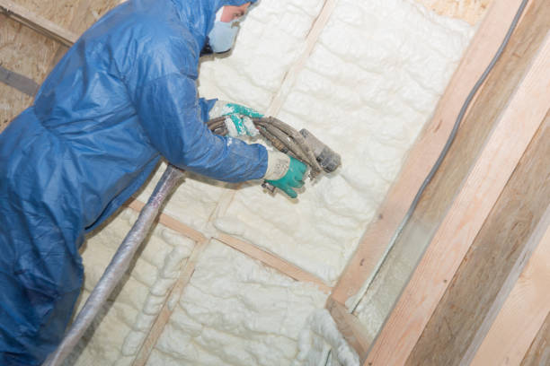 Best Attic Insulation Installation  in Lake Elsinore, CA